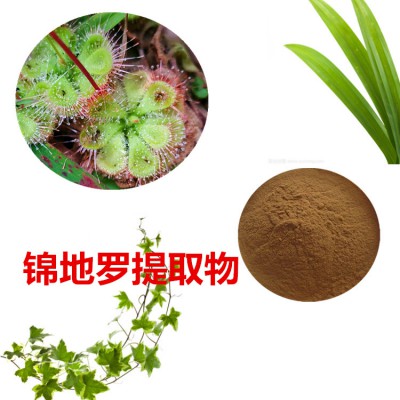 锦地罗提取物 锦地罗粉 锦地罗速溶粉 锦地罗浸膏粉