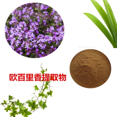 欧百里香提取物 10:1 欧百里香粉 欧百里香速溶粉