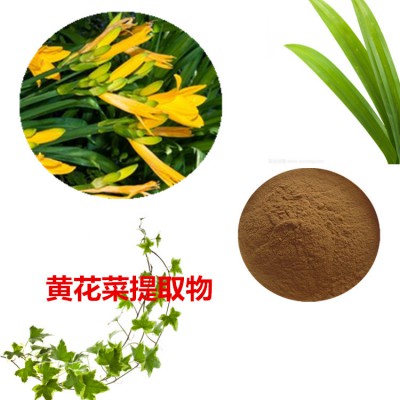 黄花菜提取物  黄花菜粉 黄花菜速溶粉 黄花菜浸膏粉