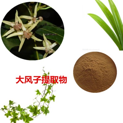 大风子提取物 大风子粉 大风子速溶粉 大风子浸膏粉