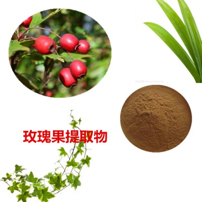 玫瑰果提取物  玫瑰果粉 玫瑰果速溶粉 玫瑰果浸膏粉