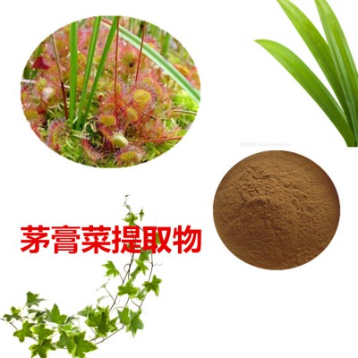 茅膏菜提取物  茅膏菜粉 茅膏菜速溶粉 茅膏菜浸膏粉