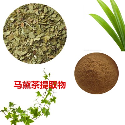 马黛茶提取物  马黛茶粉 马黛茶速溶粉 马黛茶浸膏粉
