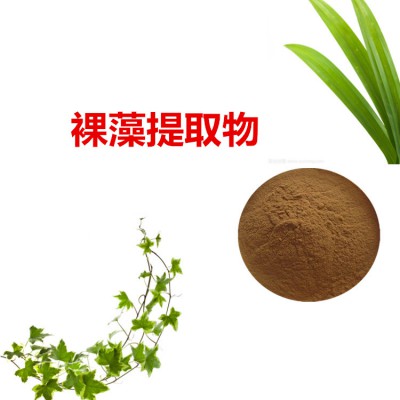 裸藻提取物  裸藻粉 裸藻速溶粉 裸藻浸膏粉
