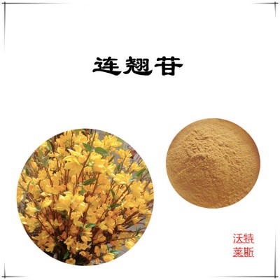 连翘苷 98%  连翘粉 连翘提取物 连翘浸膏