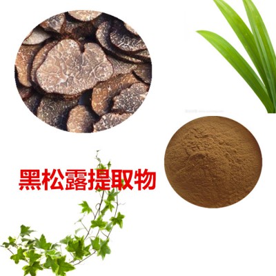 黑松露提取物 10:1 黑松露粉 黑松露速溶粉