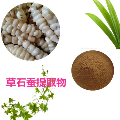 草石蚕提取物  草石蚕粉 草石蚕速溶粉 草石蚕浸膏粉