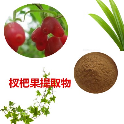 杈杷果提取物  杈杷果粉 杈杷果速溶粉 杈杷果浸膏粉