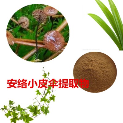 安络小皮伞提取物 安络小皮伞粉 安络小皮伞速溶粉