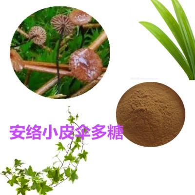 安络小皮伞多糖  安络小皮伞浸膏  安络小皮伞提取液