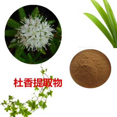 杜香提取物 杜香粉 杜香速溶粉 杜香浸膏粉