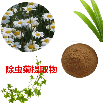 除虫菊提取物 除虫菊粉 除虫菊速溶粉 除虫菊浸膏粉