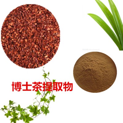 博士茶提取物 博士茶粉 博士茶速溶粉 博士茶浸膏粉