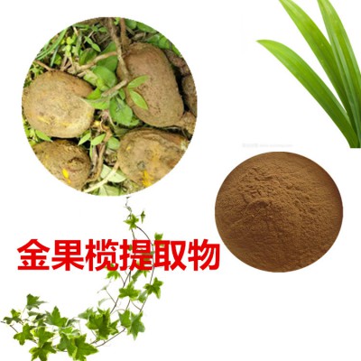 金果榄提取物  金果榄粉 金果榄速溶粉 金果榄浸膏粉
