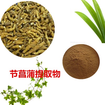 节菖蒲提取物 节菖蒲粉 节菖蒲速溶粉 节菖蒲浸膏粉