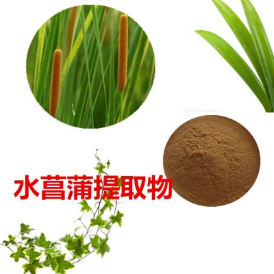 石刀柏提取物 石刀柏粉  石刀柏速溶粉 石刀柏浸膏粉