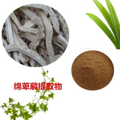 绵萆薢提取物  绵萆薢粉  绵萆薢速溶粉  绵萆薢浸膏粉