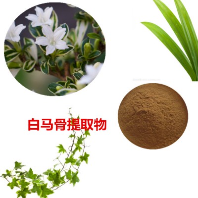 白马骨提取物   白马骨粉  白马骨速溶粉 白马骨浸膏粉