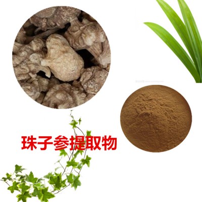 珠子参提取物 珠子参粉 珠子参速溶粉  珠子参浸膏粉