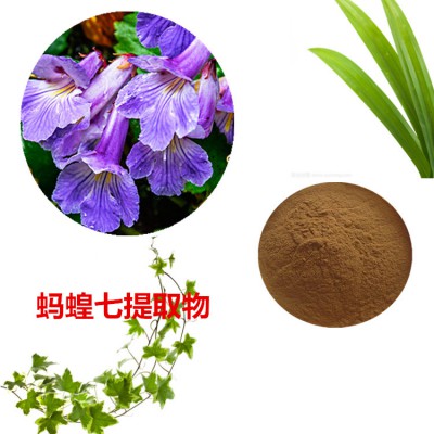 蚂蝗七提取物   蚂蝗七粉  蚂蝗七速溶粉 蚂蝗七浸膏粉