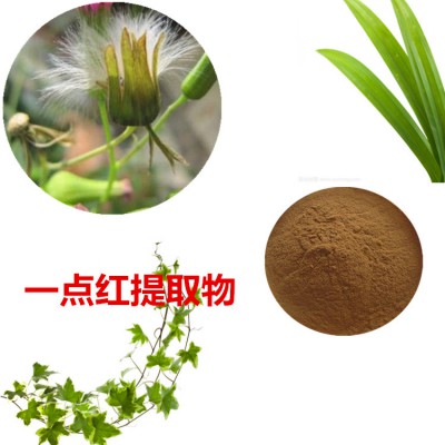一点红提取物 一点红粉  一点红速溶粉 一点红浸膏粉