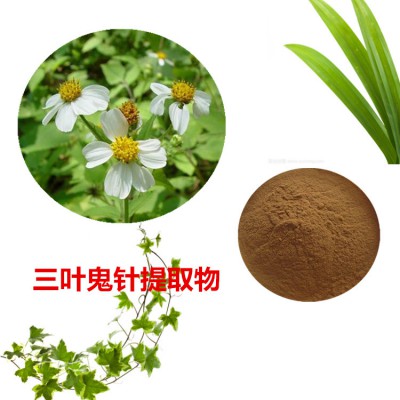 三叶鬼针提取物  三叶鬼针速溶粉 三叶鬼针浸膏粉