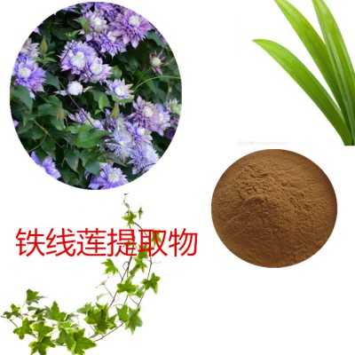 铁线莲提取物 铁线莲粉 铁线莲速溶粉  铁线莲浸膏粉