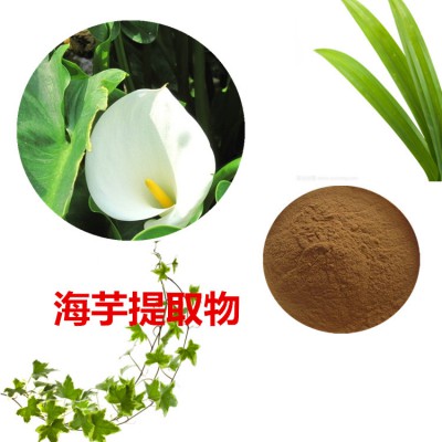 海芋提取物 海芋粉 海芋速溶粉 海芋浸膏粉