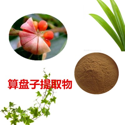 算盘子提取物 算盘子粉  算盘子速溶粉 算盘子浸膏粉