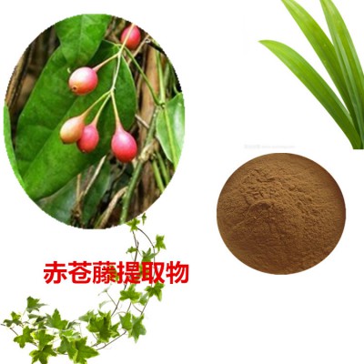 赤苍藤提取物  赤苍藤粉  赤苍藤速溶粉 赤苍藤浸膏粉