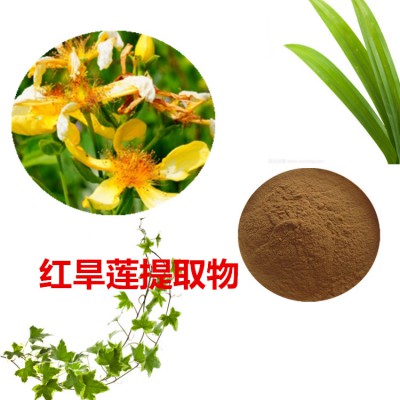 红旱莲提取物  红旱莲粉 红旱莲速溶粉 红旱莲浸膏粉