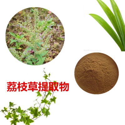 荔枝草提取物  荔枝草粉 荔枝草速溶粉 荔枝草浸膏粉