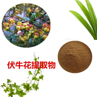 伏牛花提取物 伏牛花粉 伏牛花速溶粉 伏牛花浸膏粉