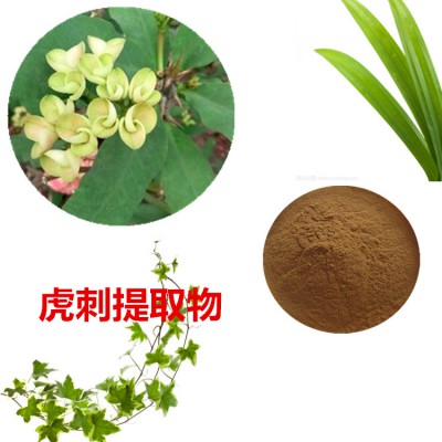 虎刺提取物   铁海棠粉 铁海棠速溶粉 铁海棠浸膏粉