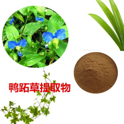鸭跖草提取物  鸭跖草粉 鸭跖草速溶粉 鸭跖草浸膏粉