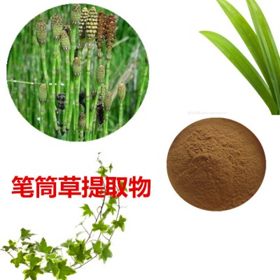 笔筒草提取物   笔筒草粉 笔筒草速溶粉  笔筒草浸膏粉
