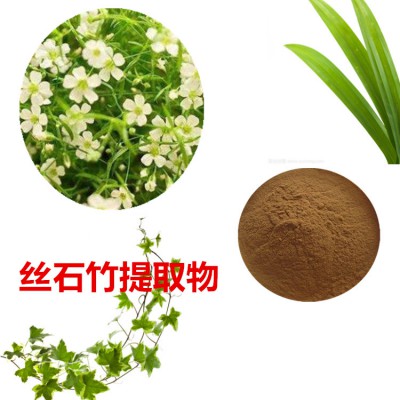 丝石竹提取物  丝石竹粉 丝石竹速溶粉  丝石竹浸膏粉