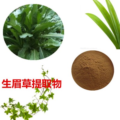 生眉草提取物  生眉草粉 生眉草速溶粉  生眉草浸膏粉