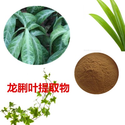 龙脷叶提取物  龙脷叶粉 龙脷叶速溶粉 龙脷叶浸膏粉