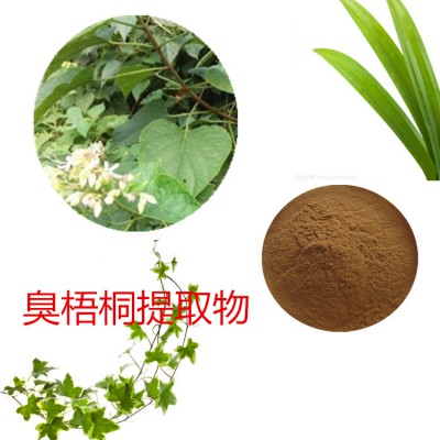臭梧桐提取物   臭梧桐粉 臭梧桐速溶粉  臭梧桐浸膏粉