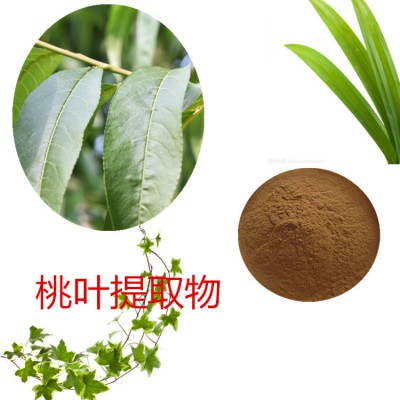 桃叶提取物 10：1  桃叶粉 桃叶速溶粉  桃叶浸膏粉