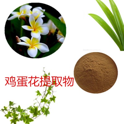鸡蛋花提取物   鸡蛋花粉 鸡蛋花速溶粉  鸡蛋花浸膏粉