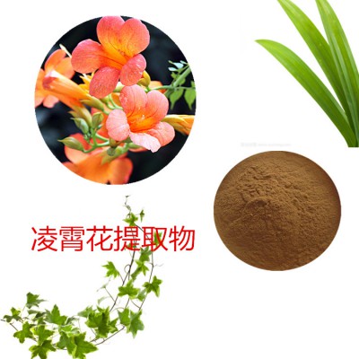 凌霄花提取物  凌霄花粉 凌霄花速溶粉  凌霄花浸膏粉