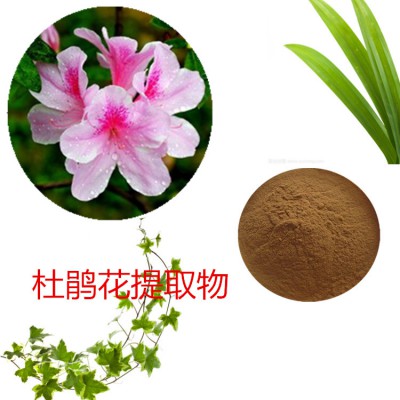 杜鹃花提取物  杜鹃花粉 杜鹃花速溶粉  杜鹃花浸膏粉