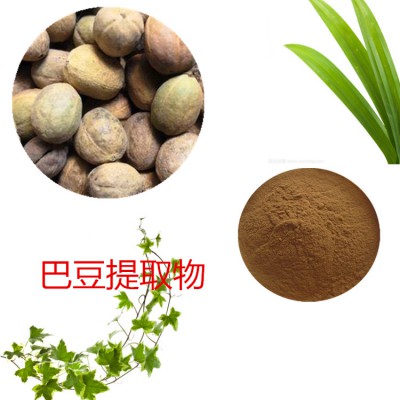 巴豆提取物 10：1  巴豆粉 巴豆速溶粉 巴豆浸膏粉