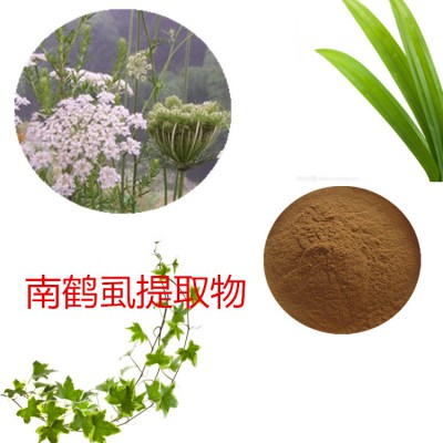 南鹤虱提取物  南鹤虱粉 南鹤虱速溶粉 南鹤虱浸膏粉