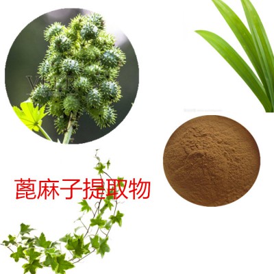 蓖麻子提取物 蓖麻子粉 蓖麻子速溶粉 蓖麻子浸膏粉