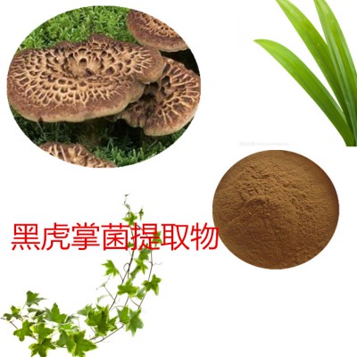 黑虎掌菌提取物   黑虎掌菌速溶粉 黑虎掌菌浸膏粉