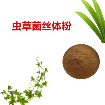 虫草菌丝体粉 虫草菌丝体提取物 发酵虫草菌丝体粉