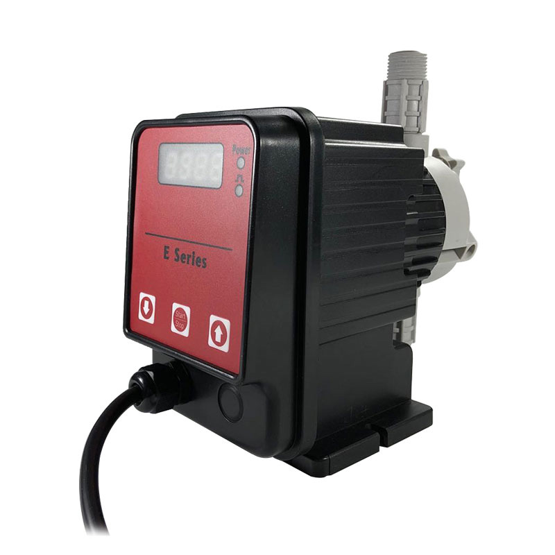 Summer beach concept